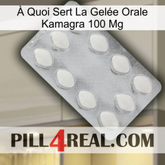 À Quoi Sert La Gelée Orale Kamagra 100 Mg 16